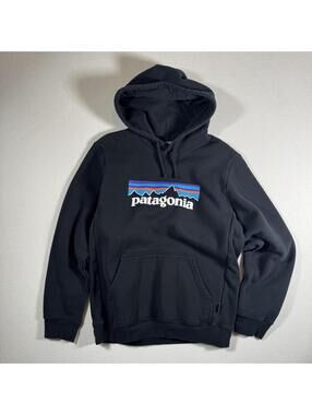 Patagonia Spellout Regular Fit Heavy Weight Hoodie